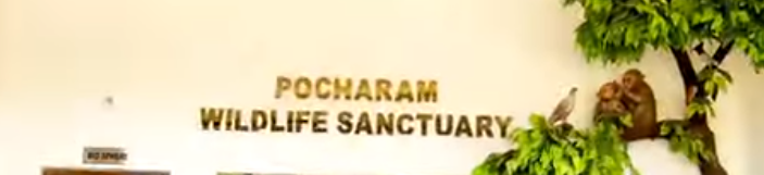 pocharam wildlife sanctuary timings